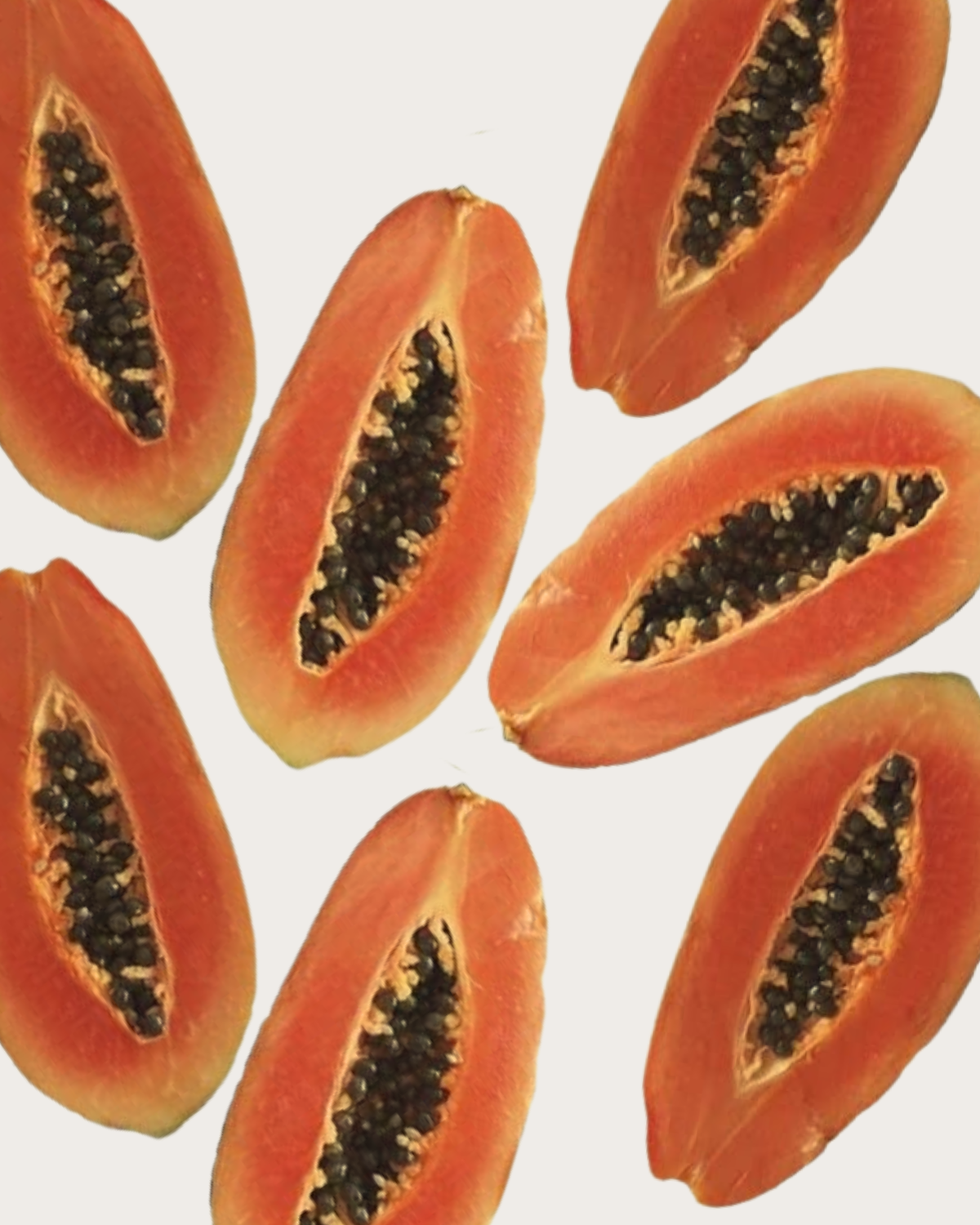 Enzyme de Papaye et poudre de Rose