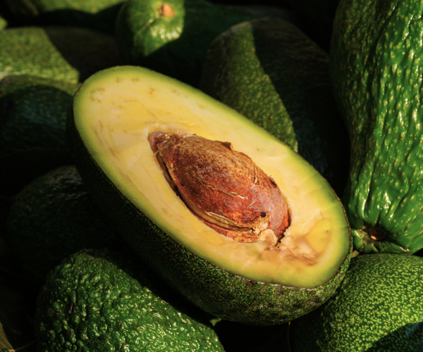 Huile d’avocat