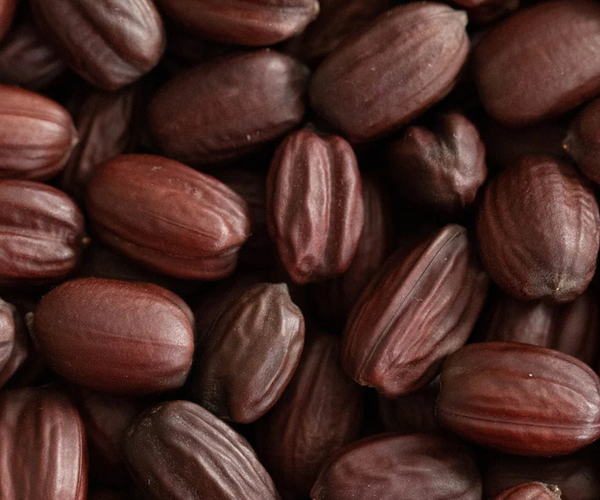 Huile de Jojoba