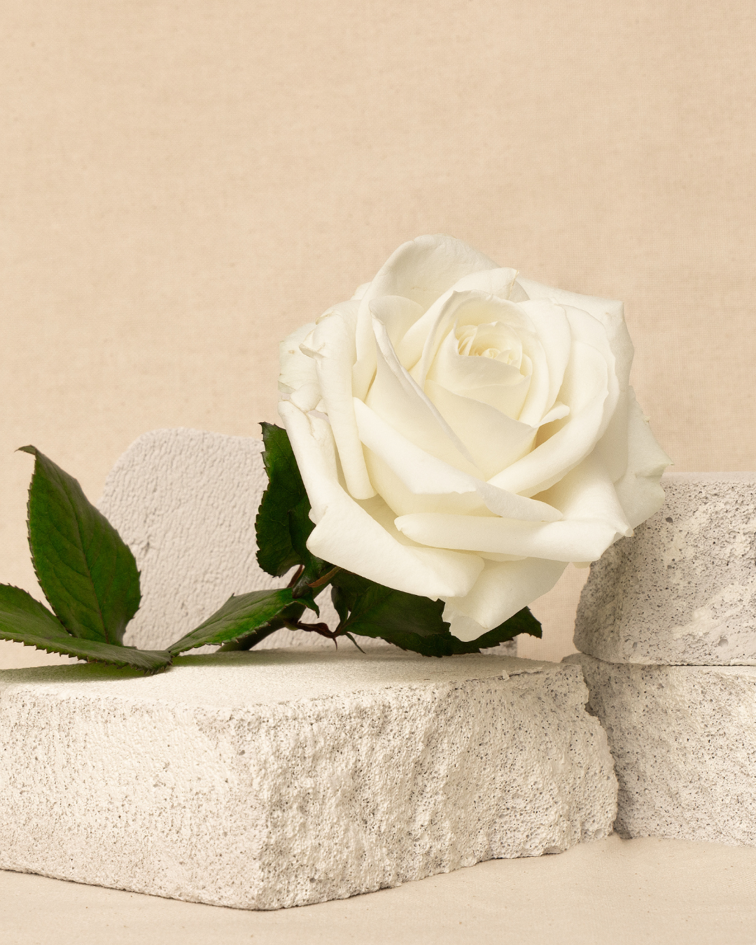 5 idées cadeaux élégantes qui font toujours plaisir