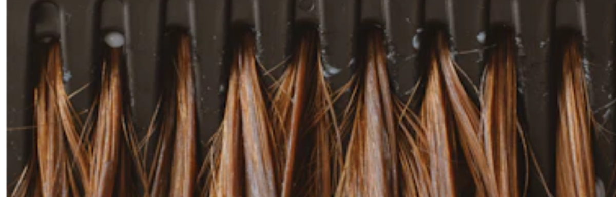Masque Capillaire