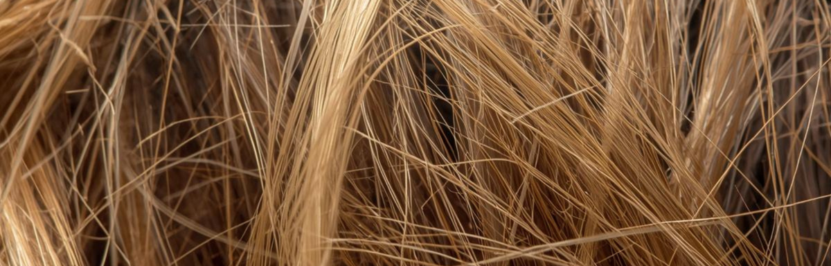 Soins cheveux secs