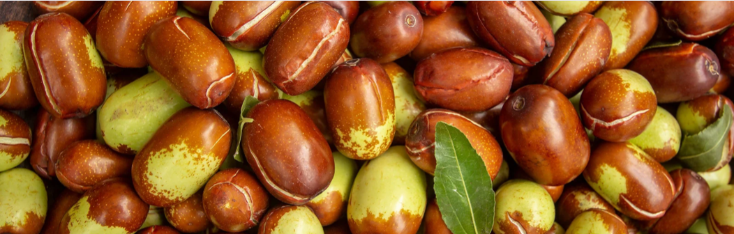 Actif : Huile de jojoba