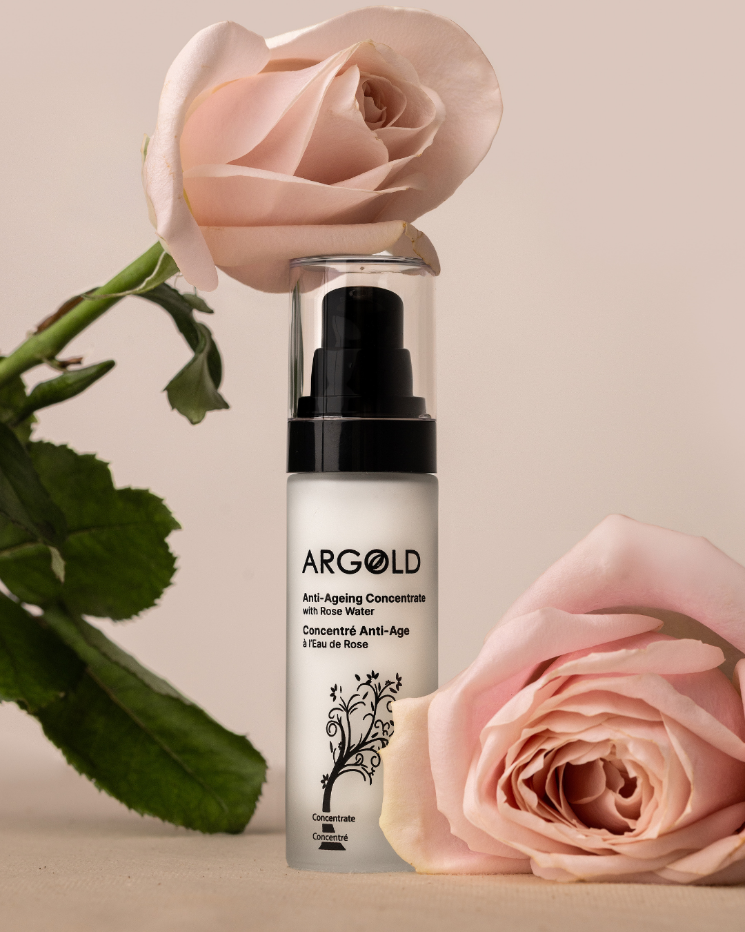 Anti-Aging Concentrate