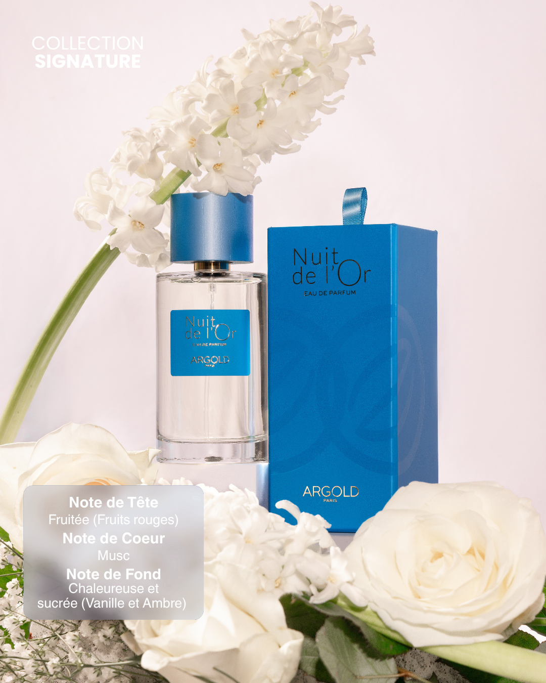 Night of Gold Perfume